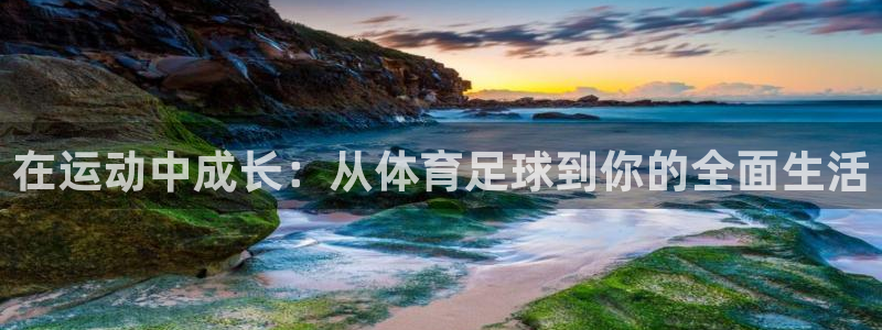 在运动中成长：从体育足球到你的全面生活