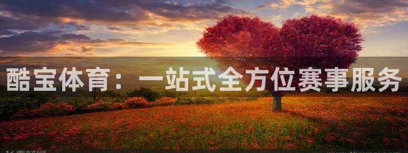酷宝体育：一站式全方位赛事服务