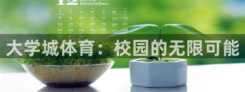 大学城体育：校园的无限可能