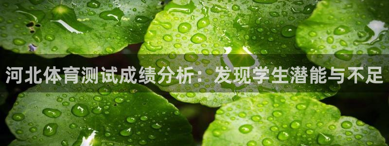 河北体育测试成绩分析：发现学生潜能与不足