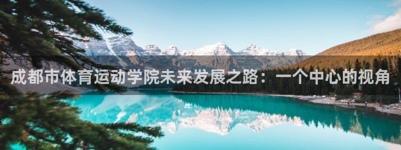 成都市体育运动学院未来发展之路：一个中心的视角