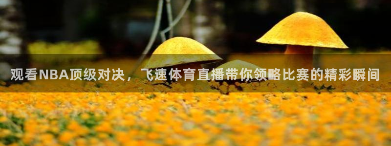 观看NBA顶级对决，飞速体育直播带你领略比赛的精彩瞬间